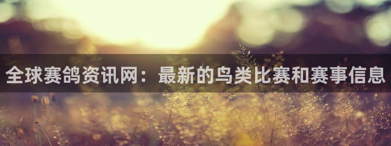 全球赛鸽资讯网：最新的鸟类比赛和赛事信息