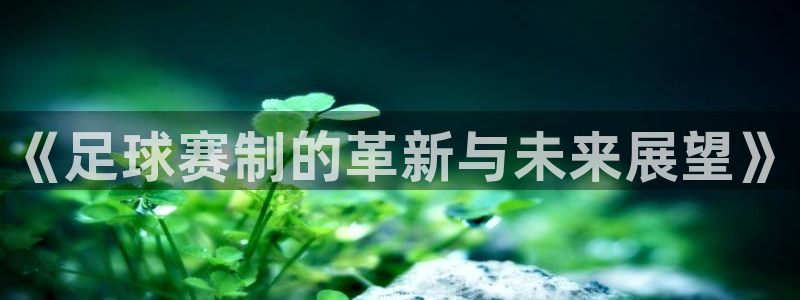 《足球赛制的革新与未来展望》