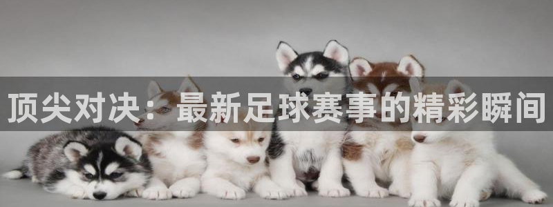 九游体育下载：顶尖对决：最新足球赛事的精彩瞬间