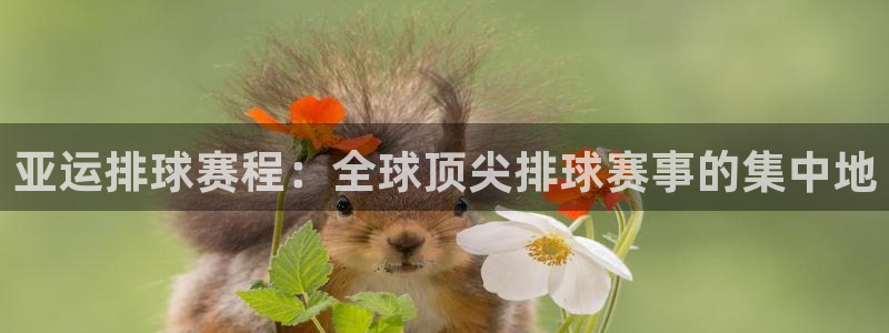 九游体育网页版：亚运排球赛程：全球顶尖排球赛事的集中地
