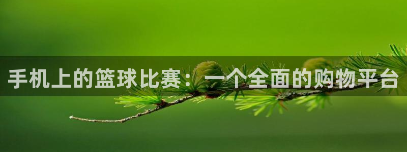 九游体育娱乐：手机上的篮球比赛：一个全面的购物平台