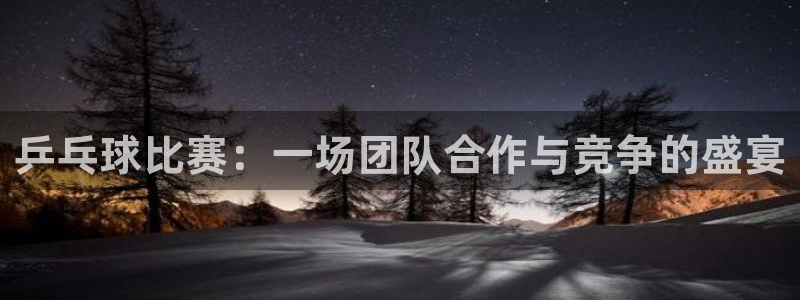 九游体育登录：乒乓球比赛：一场团队合作与竞争的盛宴